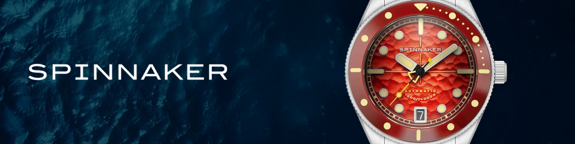 SPİN katagori banner.png (477 KB)