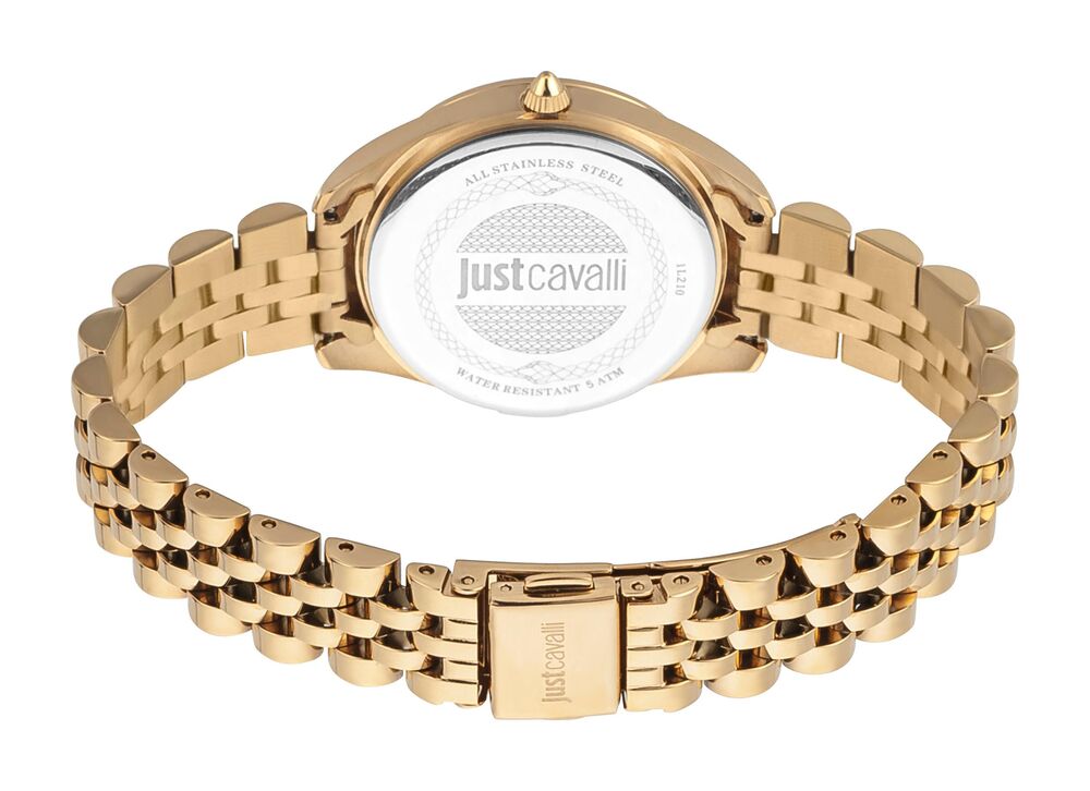 JUST CAVALLI JC1L210M0265 Kadın Kol Saati