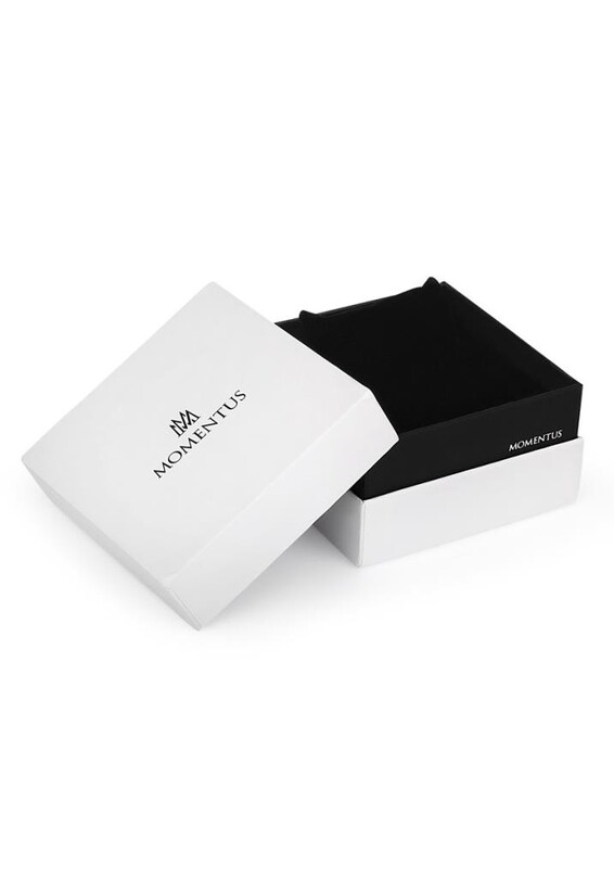 Momentus TM250S-11SS Erkek Kol Saati - Thumbnail